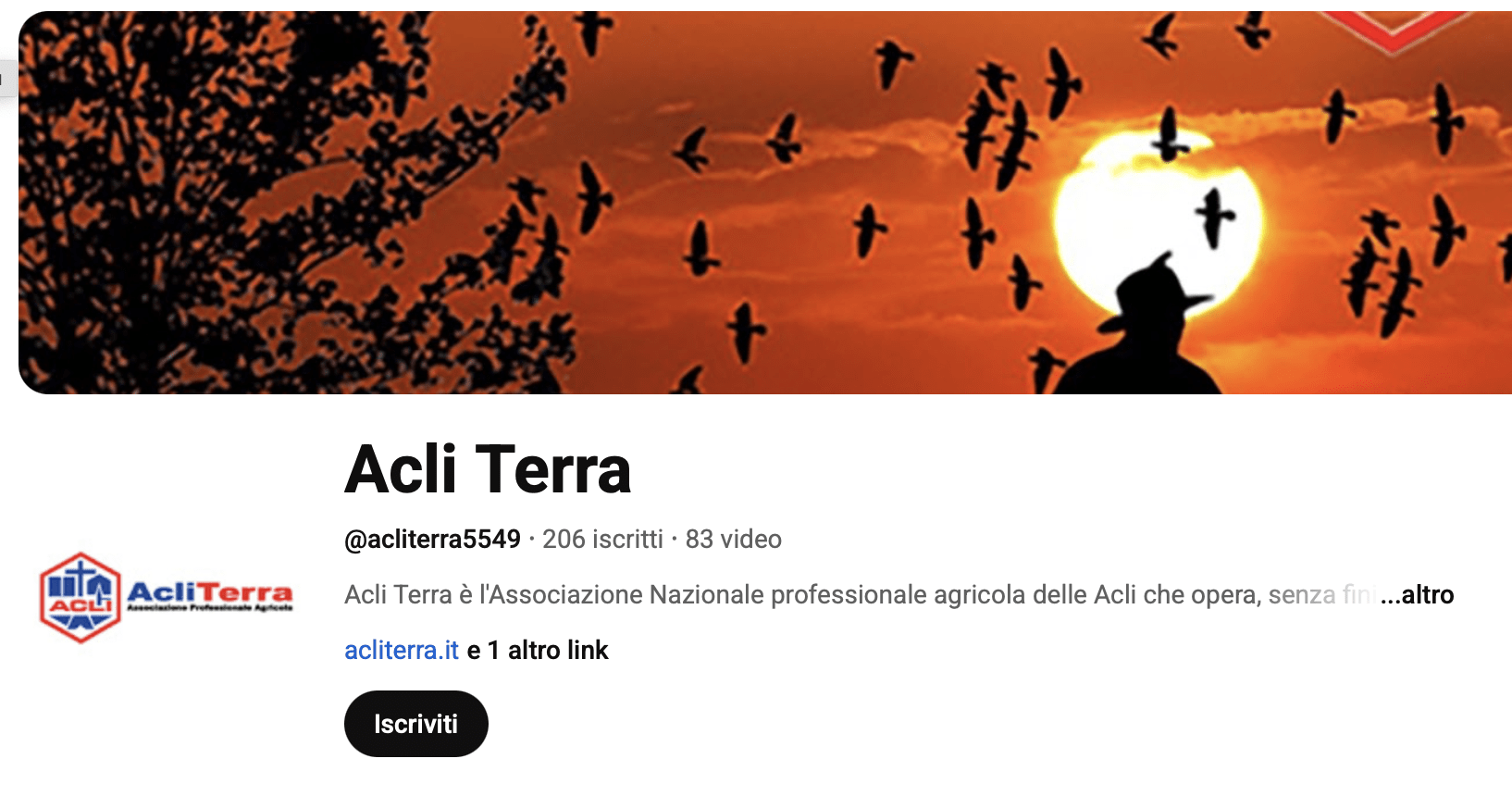 Acli Terra Youtube